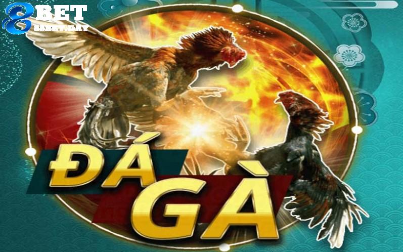 Sơ bộ về loại hình 88bet đá gà mang lại những gì? 88BET da ga