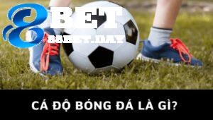 Cá độ bóng đá là gì? Thông tin cá độ bóng đá tại Việt Nam 2 Hiểu được cá độ bóng đá là gì giúp anh em tự tin hơn khi đặt cược