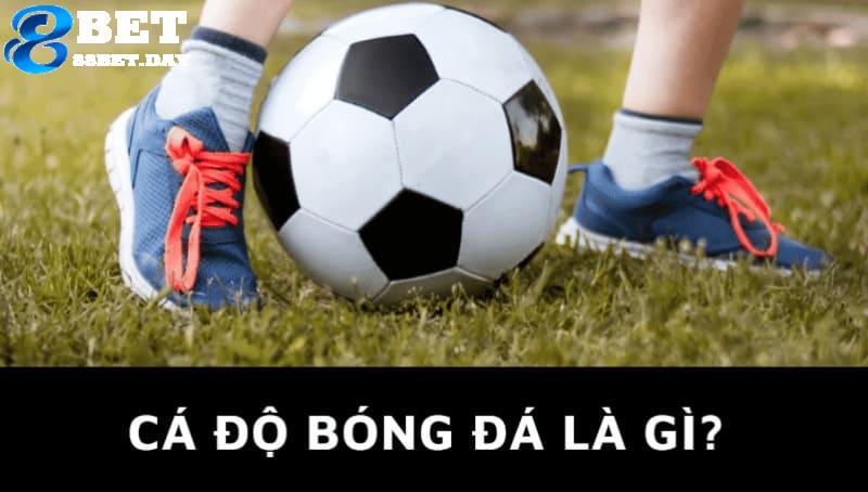 Cá độ bóng đá là gì? Thông tin cá độ bóng đá tại Việt Nam 5 Hiểu được cá độ bóng đá là gì giúp anh em tự tin hơn khi đặt cược