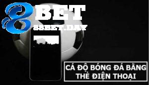 Tìm hiểu chi tiết cá độ bóng đá online bằng thẻ cào điện thoại 1 Thông tin chi tiết về cá độ bóng đá online bằng thẻ cào